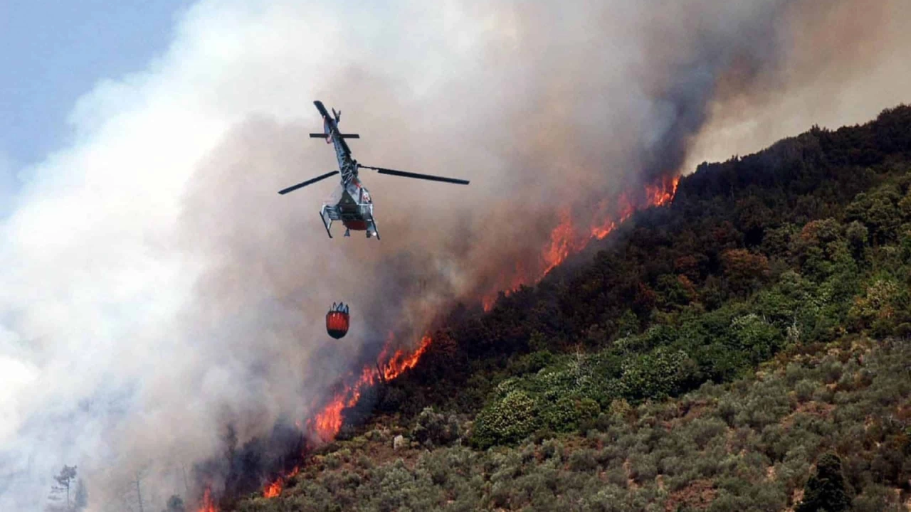 Un'estate di fuoco: da nord a sud i roghi incendiano l'Italia. Tra gran caldo e criminalità