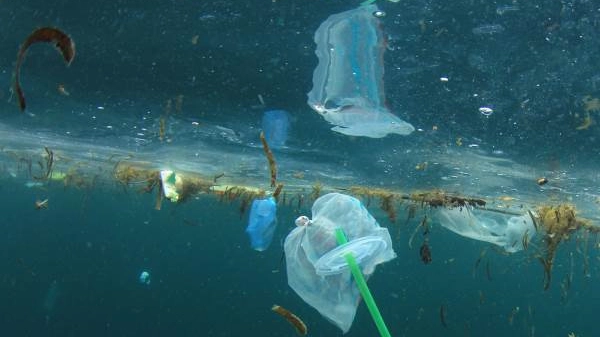 Plastica negli oceani
