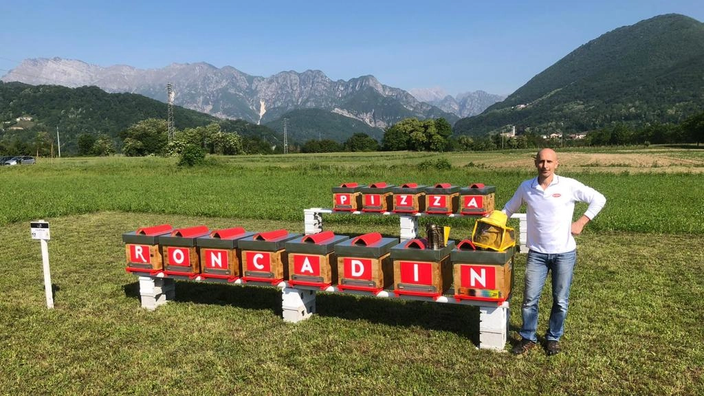 Roncadin, l'azienda che produce pizze surgelate ma che protegge l'ambiente con l'aiuto di 650.000 api (Foto Roncadin)