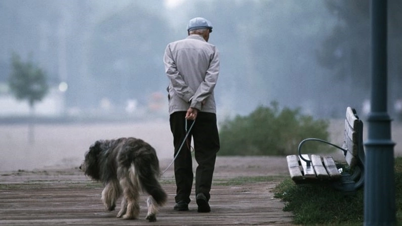 Il contatto animale-anziano può portare un miglioramento della qualità della vita a quest'ultimo