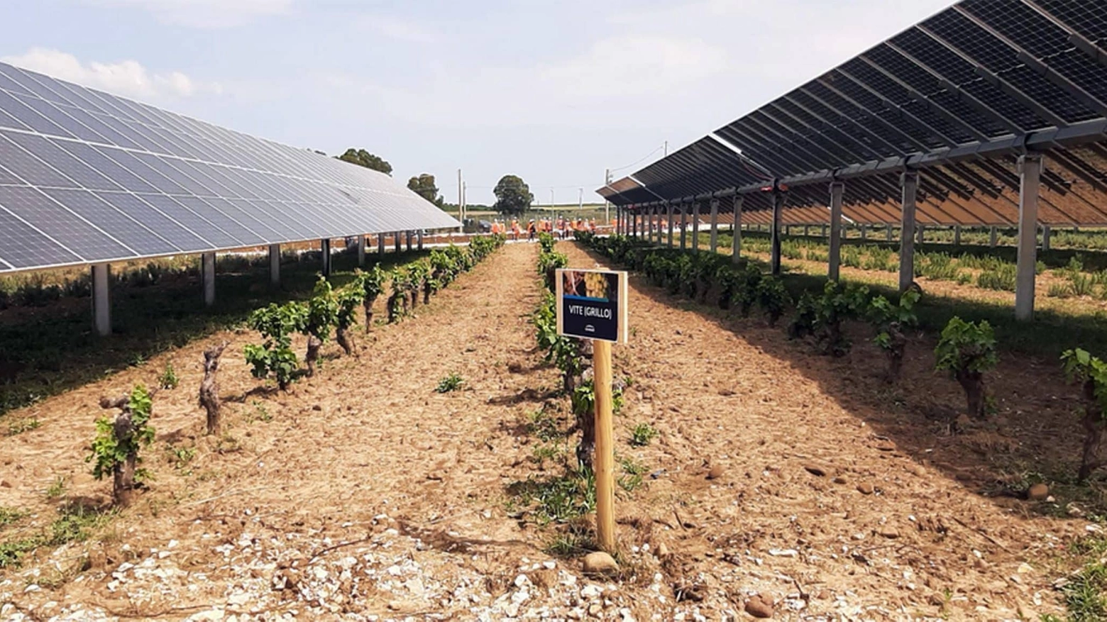 L’impianto, realizzato Marsala e Mazara del Vallo, coniuga la produzione di energia rinnovabile con le colture agricole a vantaggio dello sviluppo e della valorizzazione del territorio