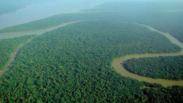 Amazzonia, deforestazione diminuita nella prima metà del 2023