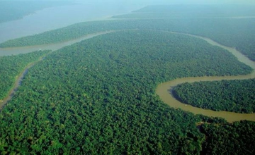 Amazzonia, deforestazione diminuita nella prima metà del 2023