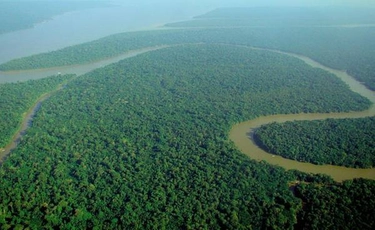 Amazzonia, deforestazione diminuita nella prima metà del 2023