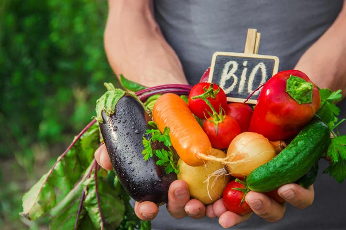 Alimenti sani e sostenibili. Il Bio è sempre più il fulcro della transizione ecologica