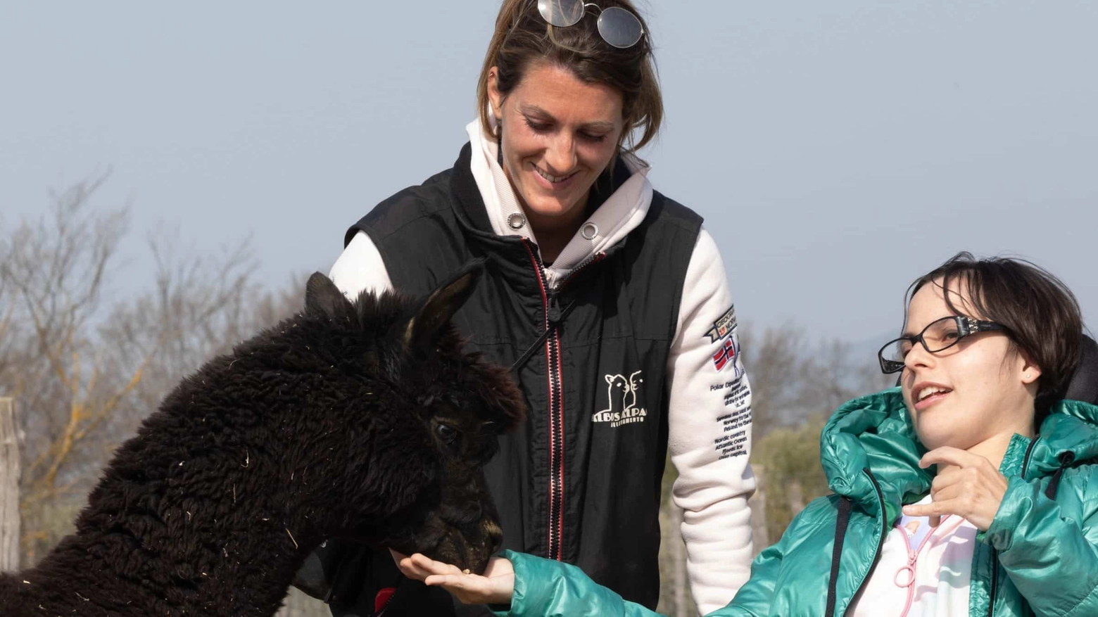 Il servizio di alpaca terapia organizzato e promosso da Albus Alpacas