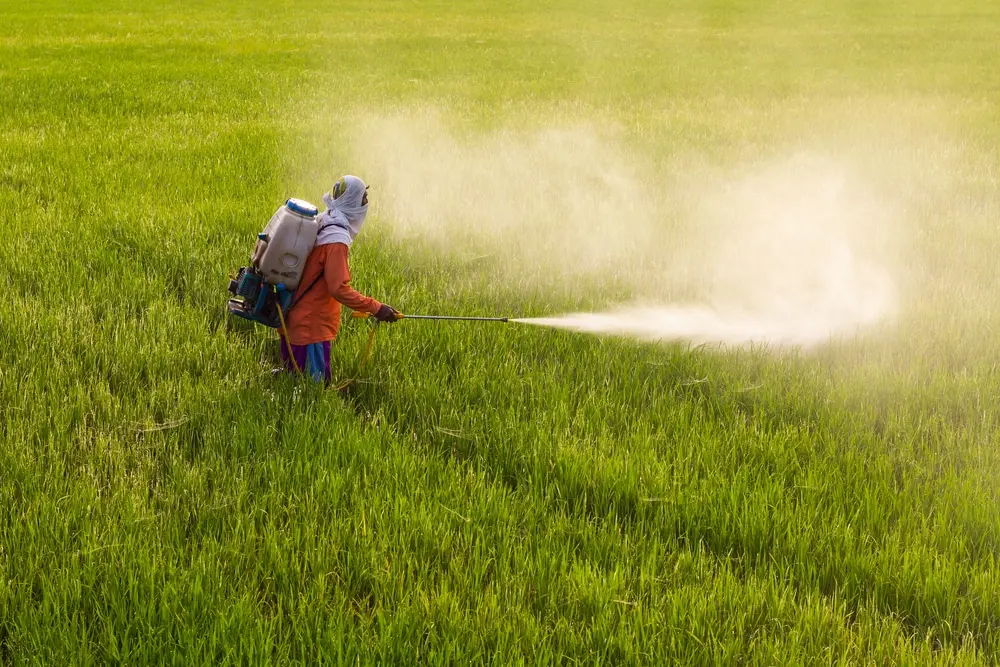 È allarme pesticidi: il 64% della superficie agricola globale è a rischio inquinamento