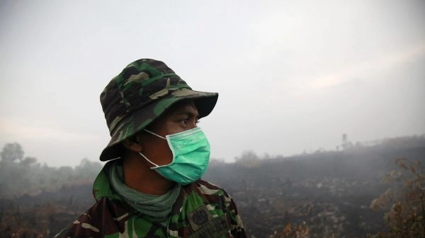 Military, fight fire, burnt peatland, Rokanhilir, close to Dumai