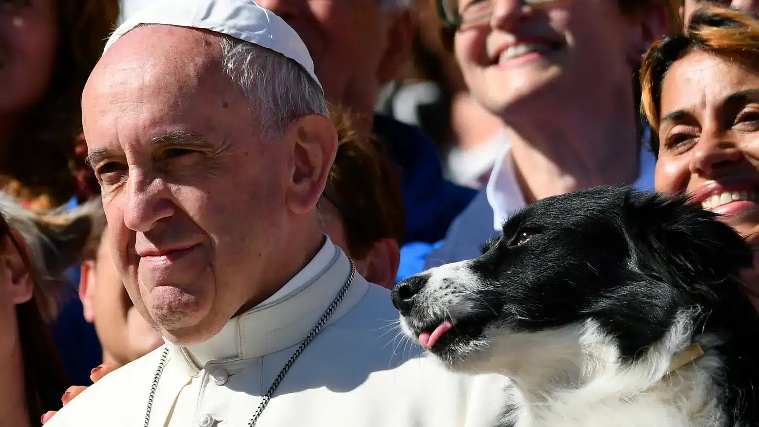 Papa Francesco non benedisce un cagnolino: scoppia la polemica