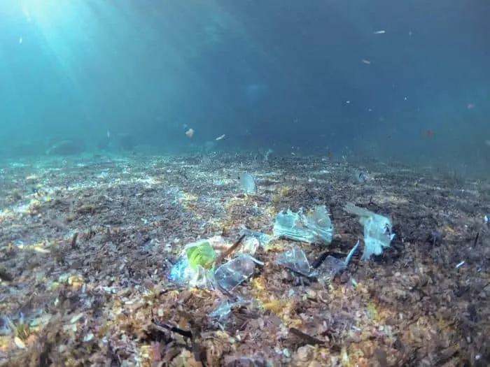 Pericolo microplastiche: i ricercatori rispondono con i fili di seta. "Sostituto sostenibile e biodegradabile"