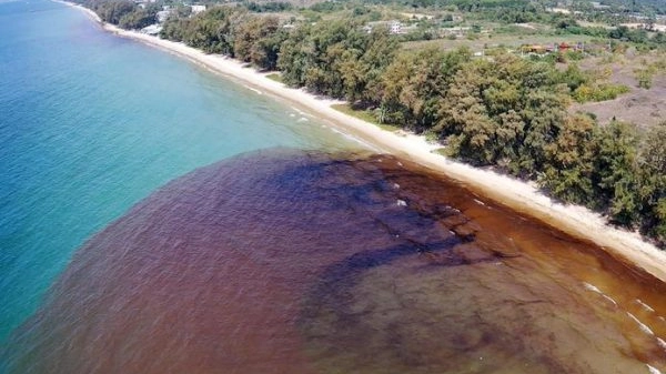 Clean up operation after oil spill reaches a beach in Rayong, Thailand