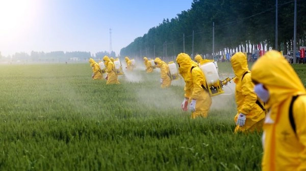 ivelli di glifosato anche mille volte oltre i limiti, uno studio evidenzia il disastro pesticidi in Lombardia