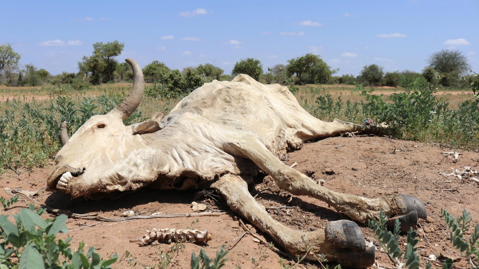 Oxfam, in Africa 6 persone al minuto muoiono di fame