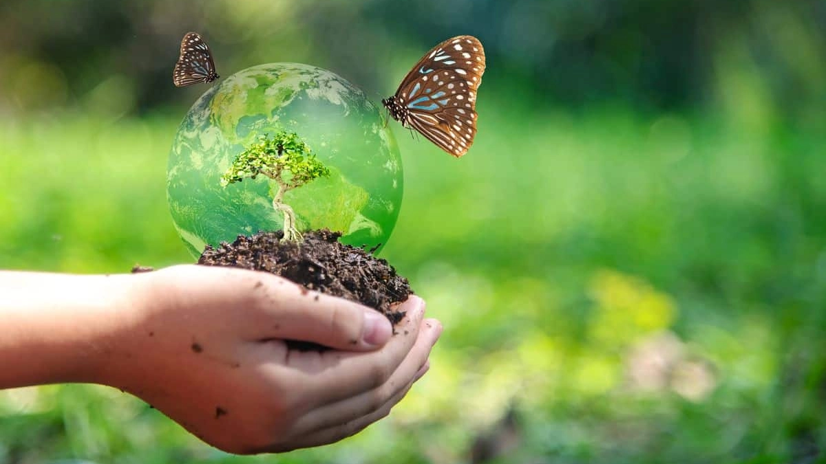 "Regala la Biodiversità", l'iniziativa di 3Bee per salvare il clima e gli ecosistemi (Instagram)