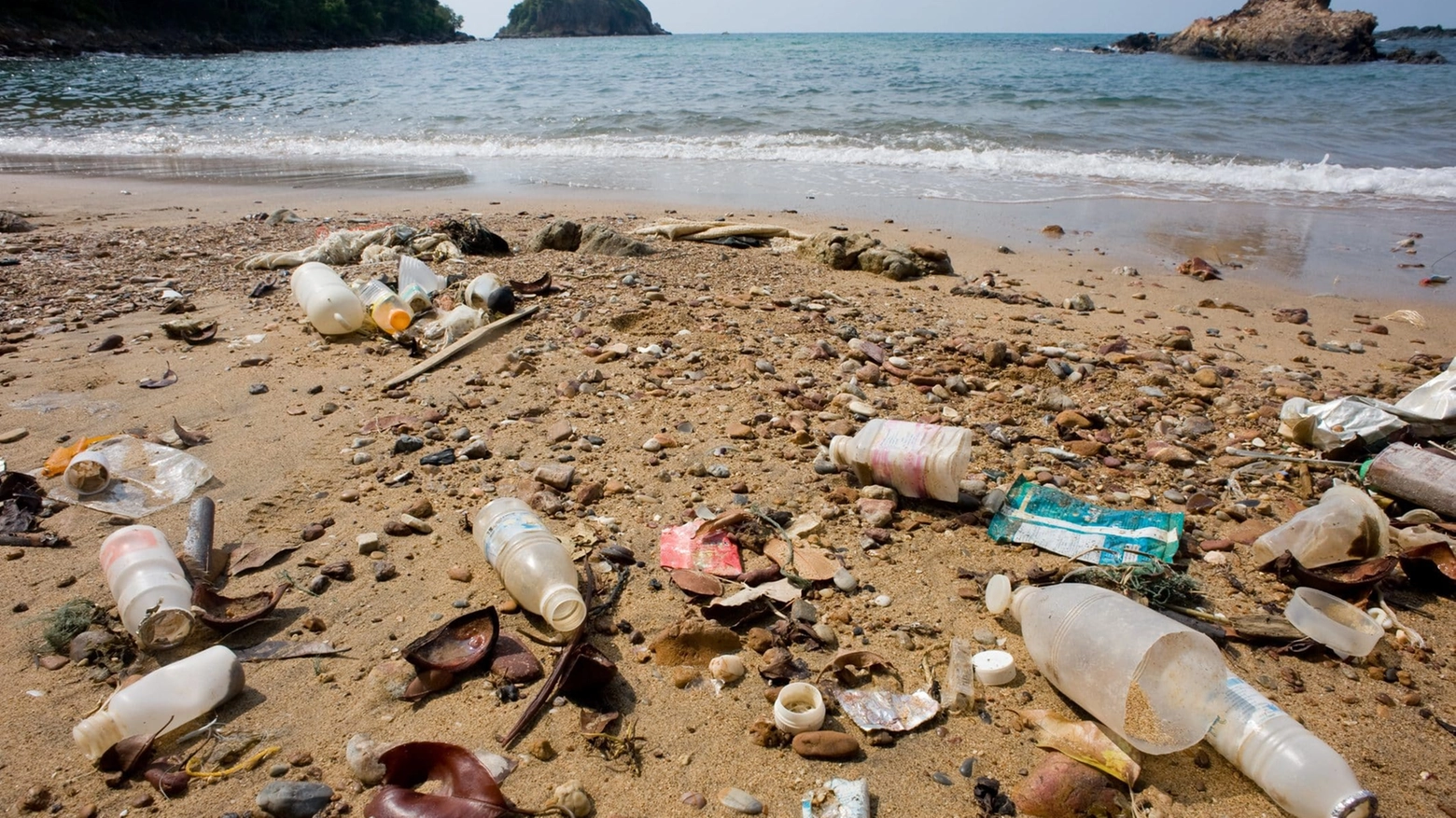Alcuni rifiuti lasciati in spiaggia (Ansa)