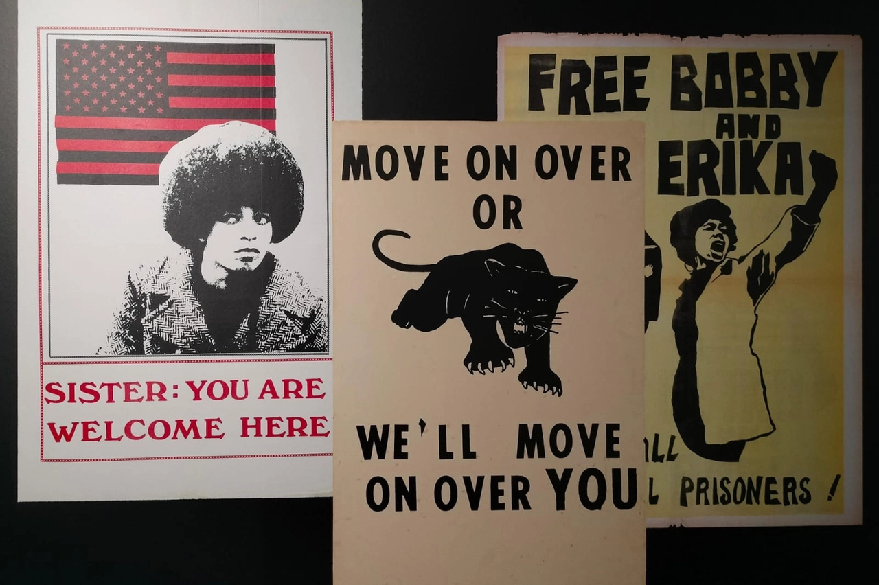 "Comrade Sisters: Women of the Black Panther Party"