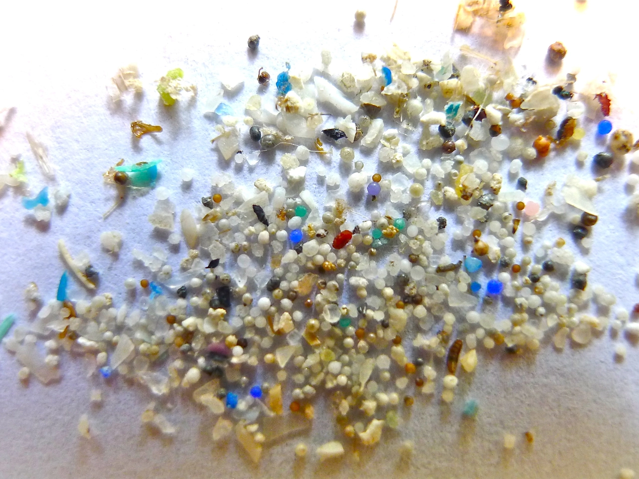 Vengono definite microplastiche tutte le particelle le cui dimensioni sono comprese tra i 330 micrometri e i 5 millimetri