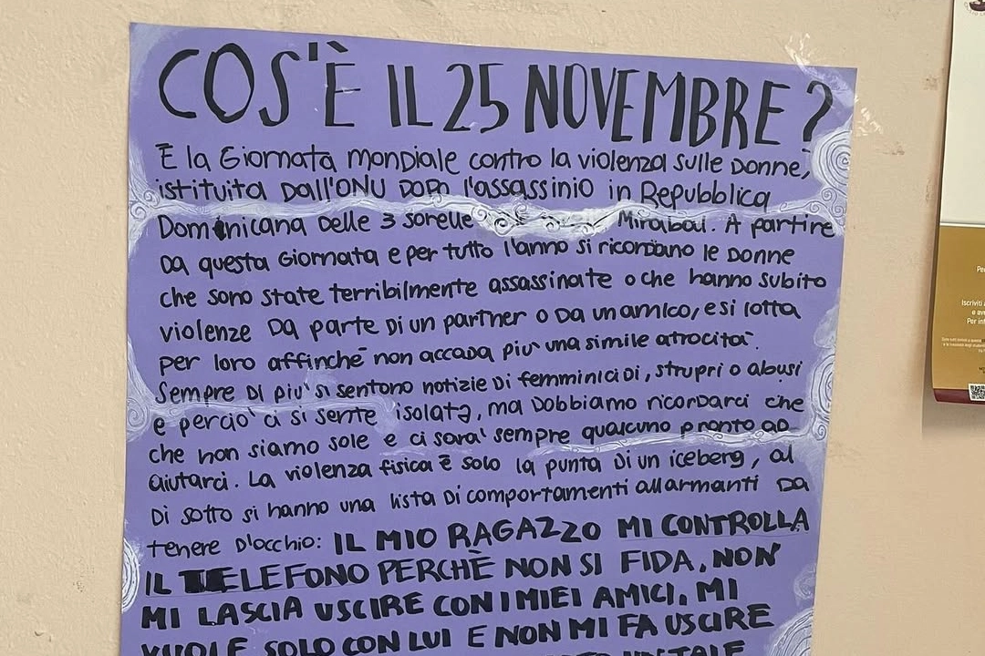 Uno dei cartelloni realizzati dal collettivo Zero alibi per il 25 novembre