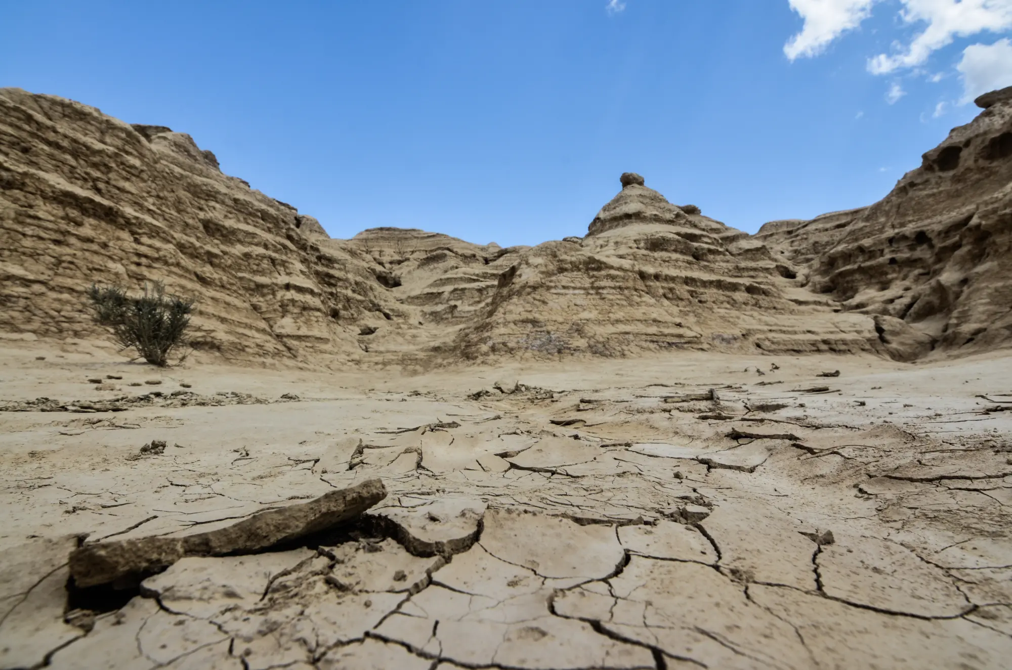 Terra sempre più arida: gli effetti di quella che non è semplice siccità di stagione