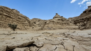 Terra sempre più arida: gli effetti di quella che non è semplice siccità di stagione