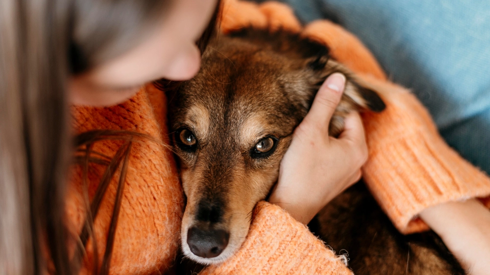 Congedo per malattia per assistere i propri animali domestici