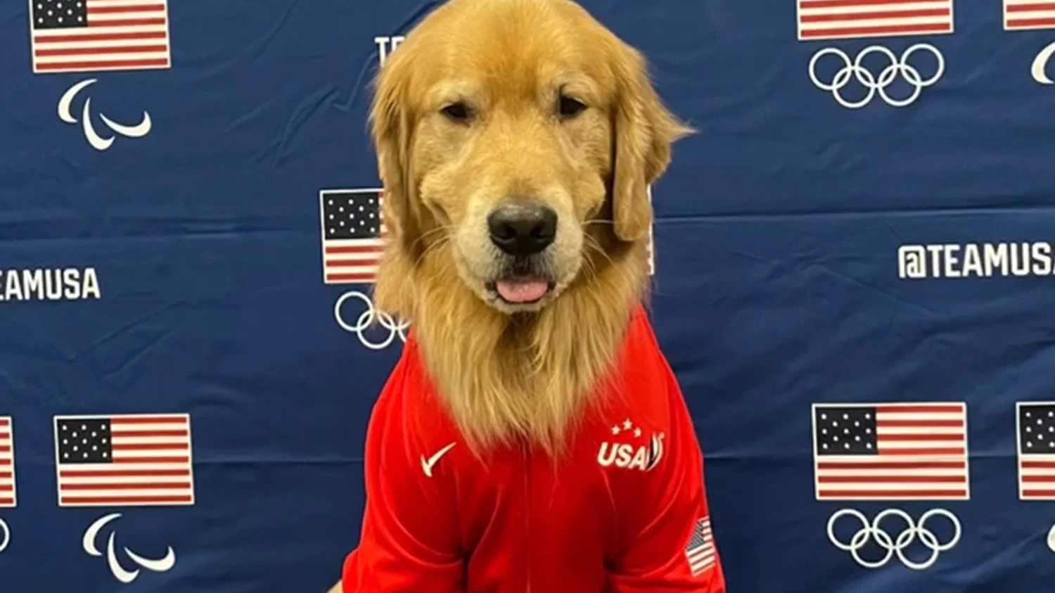 Beacon con la divisa della nazionale Usa (Instagram/Goldendogbeacon)