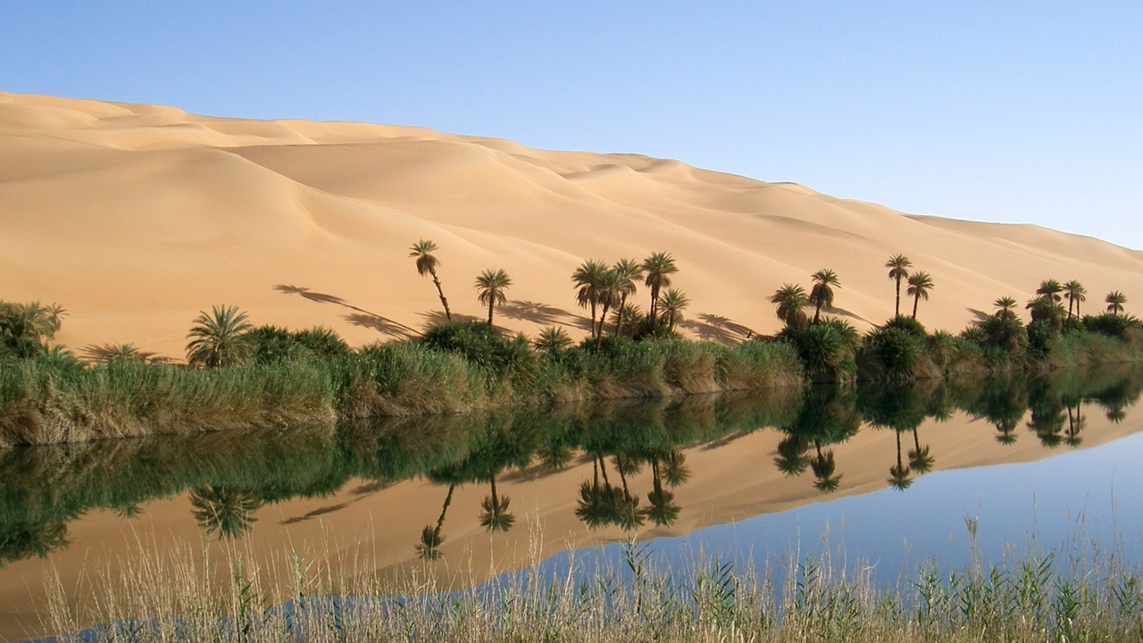 Sahara sempre più verde: il deserto si trasforma in pianura erbosa?