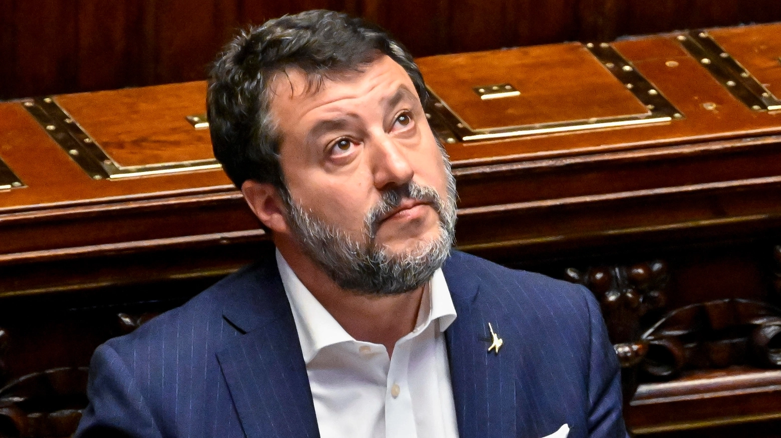 Matteo Salvini (ANSA/ALESSANDRO DI MEO)