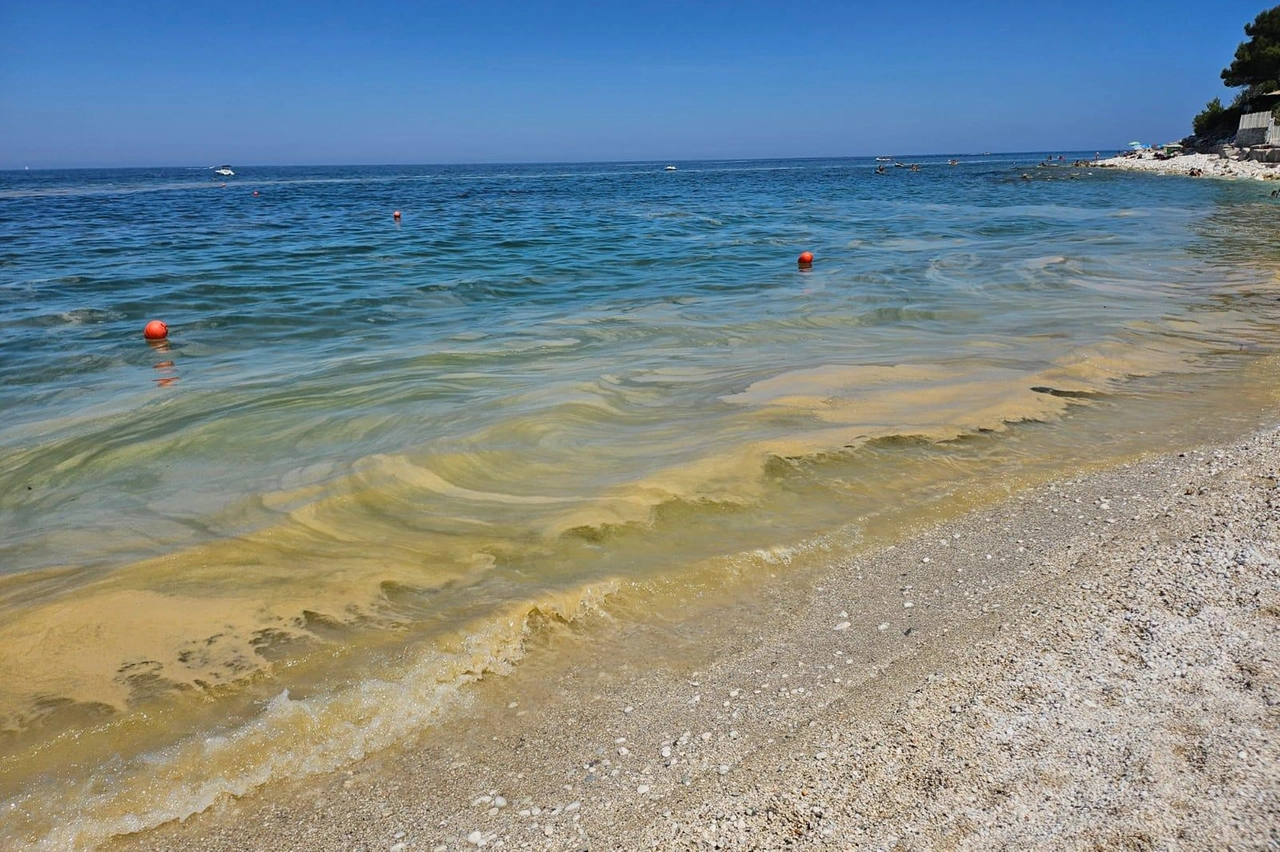 Mucillagine nel mar Adriatico