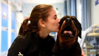 La cagnolina operava con la sua proprietaria Chiara all'ospedale Santa Chiara di Pisa. Il saluto del Consigliere della regione Toscana Iacopo Melio: "La ricorderò sempre con il rispetto e l’affetto che si può provare verso chi, attraverso la propria esistenza, ha fatto tanto del bene".