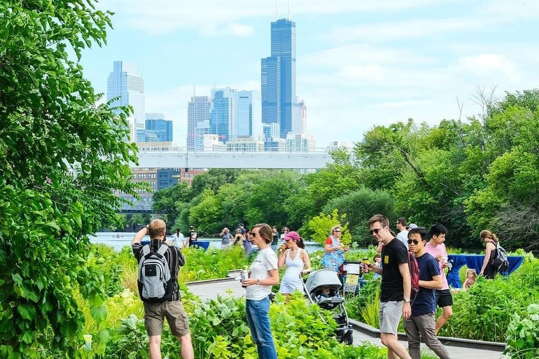 WIld Mile è un progetto di Urban Rivers