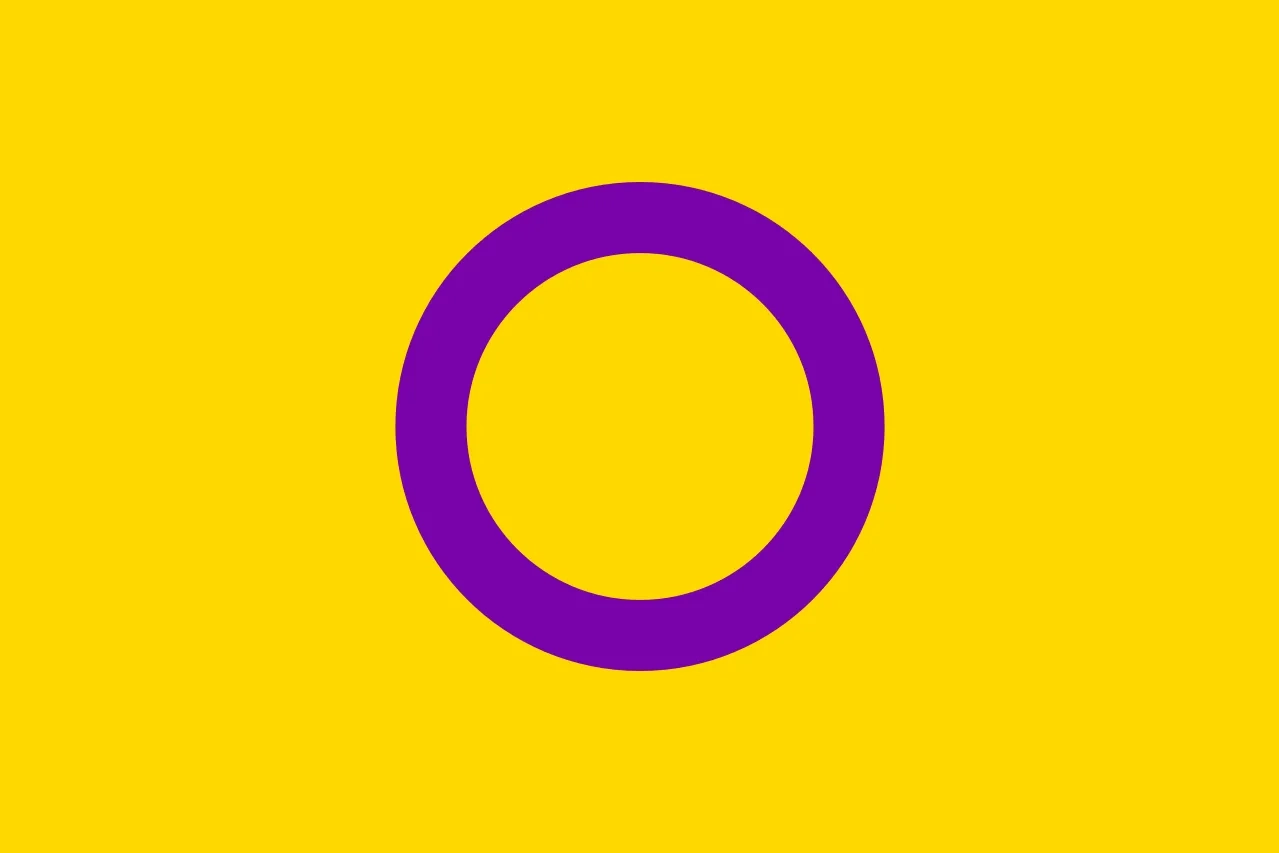 La bandiera intersex