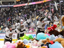 “Teddy Bear Toss” da record: come funziona l’evento di solidarietà sul ghiaccio