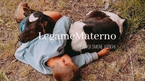 Il regista lucchese Simone Arrighi lancia una campagna di crowfunding per il suo nuovo progetto: “Legame Materno” in cui affronta un tema molto forte come la correlazione tra violenza di genere e quella contro gli animali