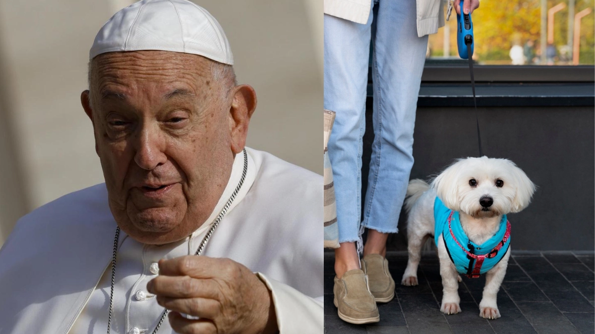 Papa Francesco: in Italia più cani e gatti che figli