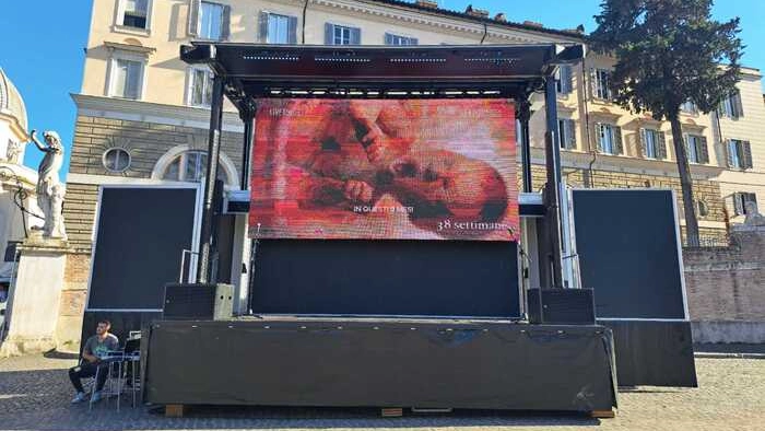 "Baby Olivia" la manifestazione dei Pro Vita contro l'aborto (Ansa)