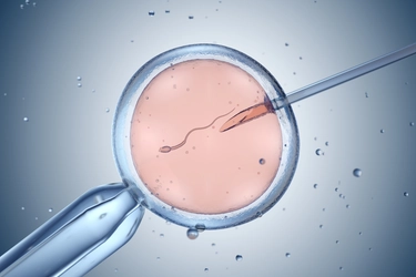 Procreazione assistita, la donna potrà chiedere l’impianto dell’embrione in caso di morte del partner o separazione