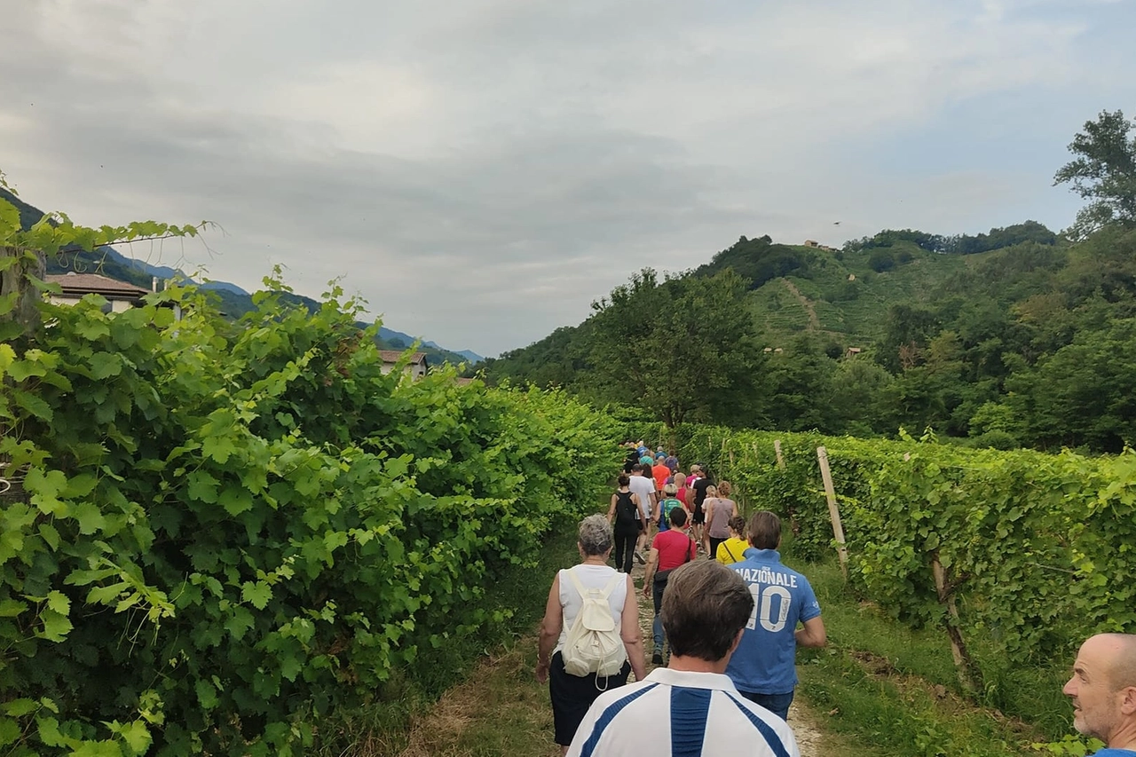 Passeggiata col sindaco tra le vigne a Valdobbiadene (Facebook)