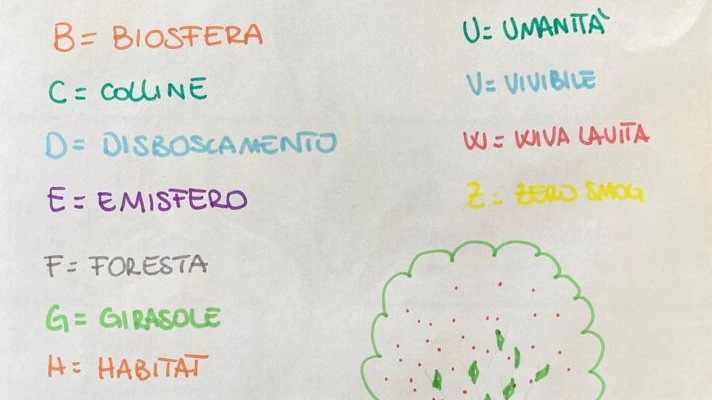 Un esempio di alfabeto della gentilezza declinato all'ambiente