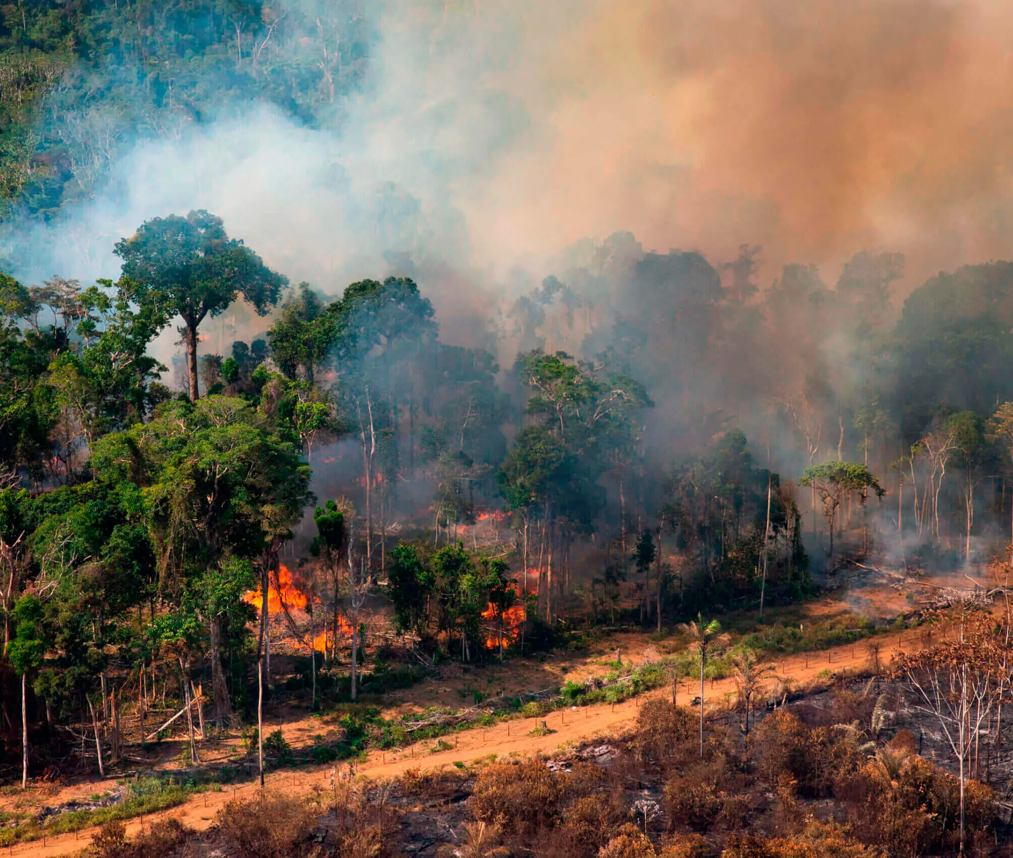 Emergenza climatica: preoccupano gli incendi in Brasile, ma non solo