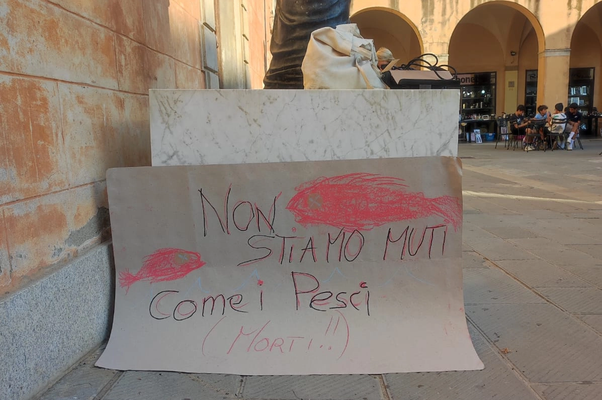 Un cartello di protesta: "Non stiamo muti come pesci"