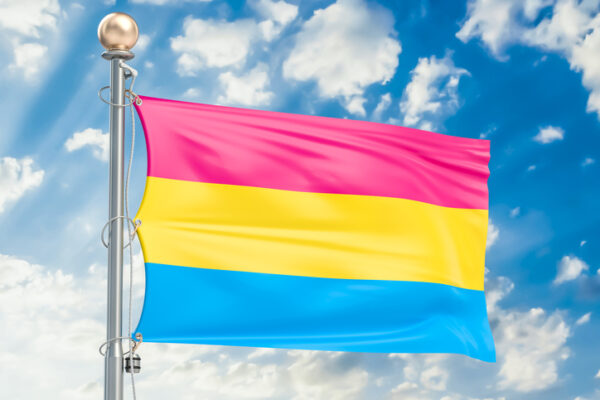 Pansexual pride flag waving in blue cloudy sky, 3D rendering