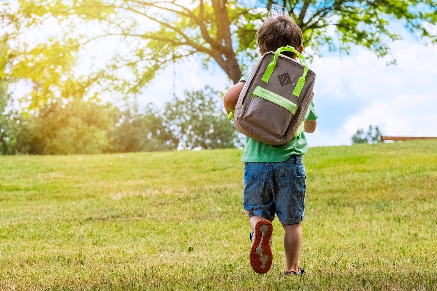 Caucasian Little boy carrying a backpack walking back to school from behind
