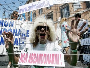In passato Donatella Rettore ha partecipato anche a molte manifestazioni contro l’abbandono estivo di cani e gatti