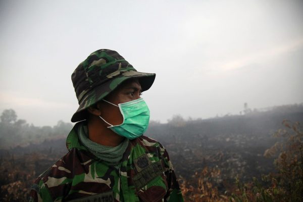 Military and firefighters working to fight a fire in a burnt peatland in Rokanhilir, close to Dumai, Riau province, Indonesia.