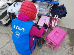 Trasportini donati dall'associazione Save The Dogs per consentire ai profughi di viaggiare con i propri animali