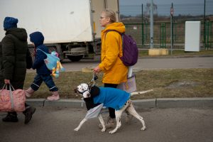 Guerra in Ucraina, i rifugiati attraversano il confine con la Polonia con i propri animali domestici