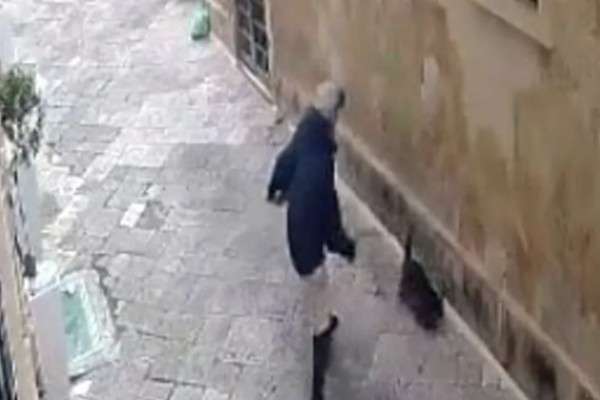 L'uomo che nei giorni scorsi ha ucciso a calci un gattino nel centro storico di Lecce