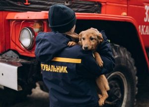 Ucraina, un’esplosione ha colpito un rifugio per animali a Makariv