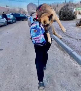 La storia di Alisa: 17 km con il suo anziano cane in spalla, da Kiev fino al confine con la Polonia